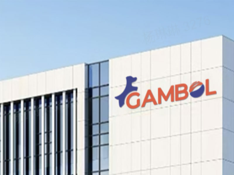 Gambol 設立