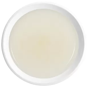 チキンドッグスープ（関節サポート・消化器系健康）