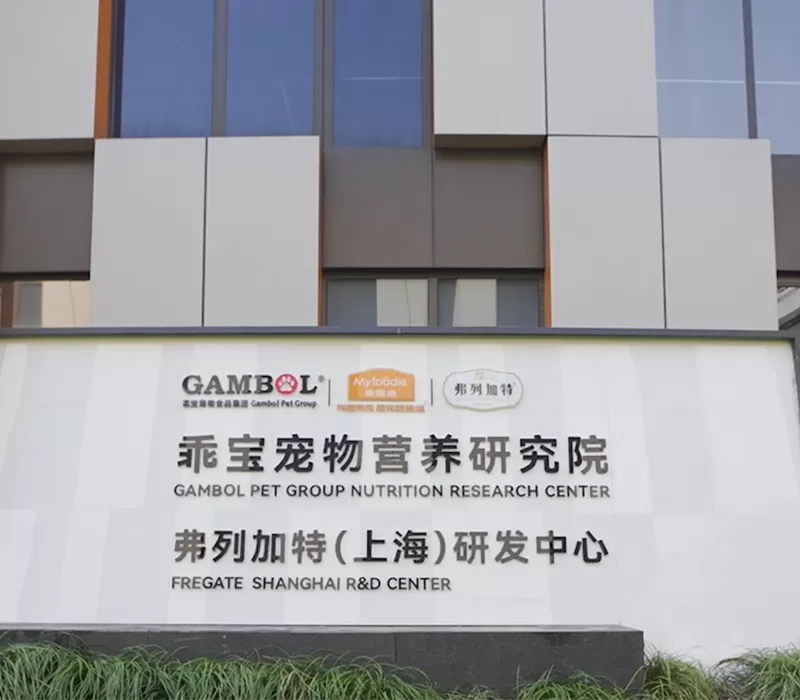 3拠点グローバル研究開発ネットワーク