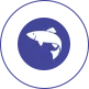 深海魚