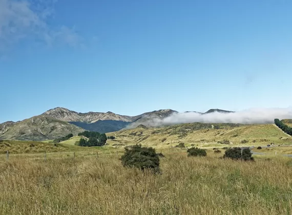 New Zealand Smart Manufacturing Center